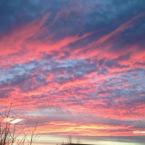 Following The Faithful