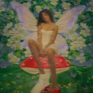 butterflies
