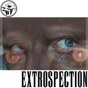 Extrospection