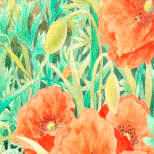 不为人知的秘密