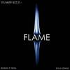 Stunner Bizzle - Flame