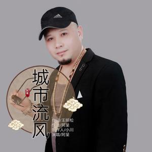 阿呈-城市流风 （DJ版）（阿呈 remix） 伴奏