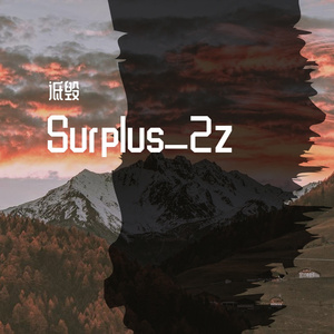 Surplus_2z233