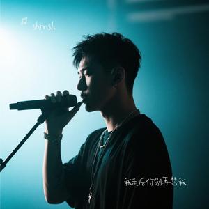 我走后你别再想我