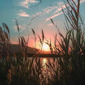 十年人间（戏腔）