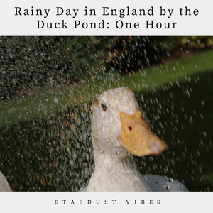 Rainy Day in England by the Duck Pond: One Hour