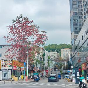 伤我到以为是我的错