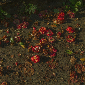 It's a Wonderful Life