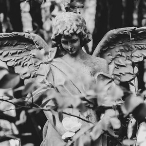 口琴：魔鬼中的天使