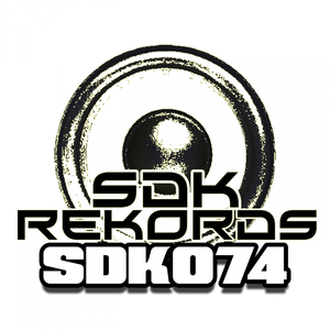 Sorry For Party Rocking (Disco In This) (Original Mix)