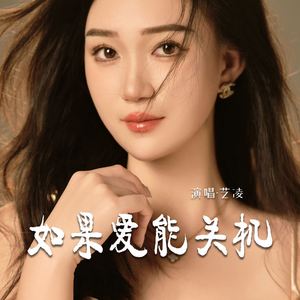 如果爱能关机