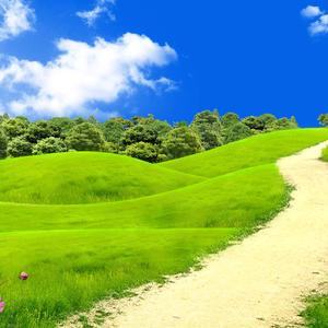 猪大肠的噩梦 (2)