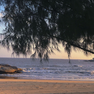 想讲个宇宙给你听.（翻自 北宸）