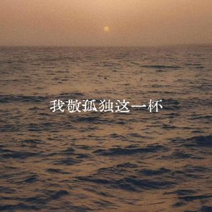 我敬孤独这一杯