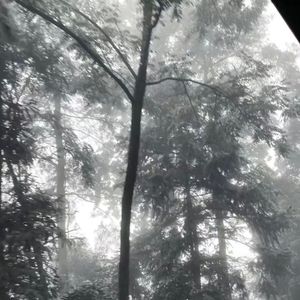 我的热情随你归还人海