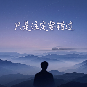 只是注定要错过