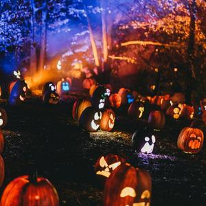 Gruselparty an Halloween