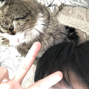 自编钢琴曲-5_232410_track1_232410