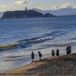 高尚口水旋律VI