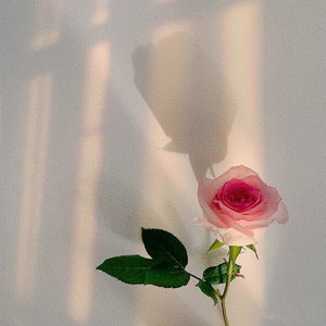 我在江东望秋水