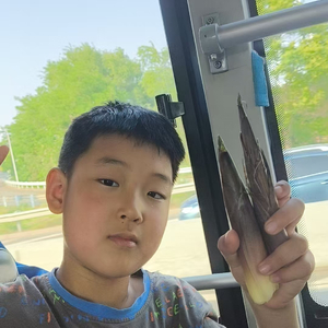 赠我无目的旅行的奇迹