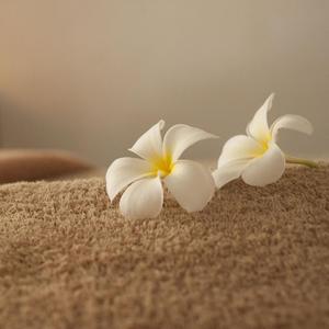 门店百听不厌（门店轻音乐）