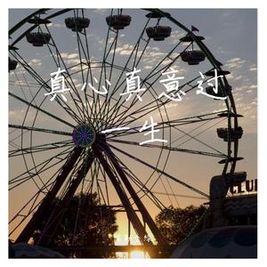 真心真意过一生
