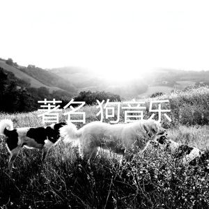 像梦一样(睡狗)