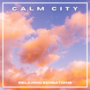 Calm City