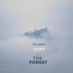 Mist In The Forest