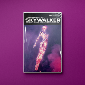 The Weeknd Future Garage Type Beat | Sky Walker