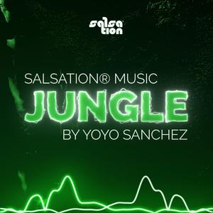 The Jungle Salsation Warm Up