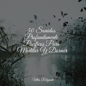 Sentimientos Iluminados