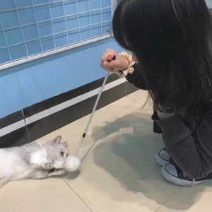 没意思