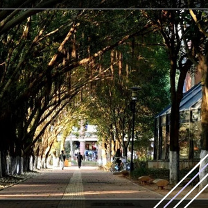 西风的话（伴奏版）