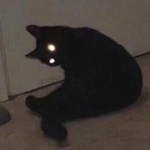 我是属于天空的鱼