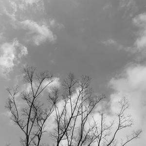 Keep Tryin'(ACK Remix)(Instrumental)