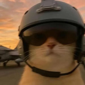 凌晨四点的保温杯