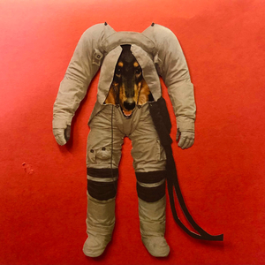 Great things are achieved by embracing great dangers