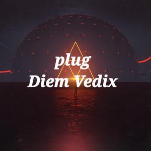 Plug
