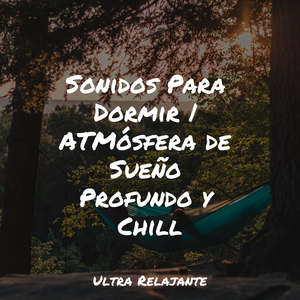 Hamaca En Los Árboles