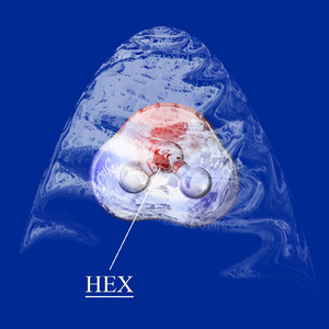 HEX