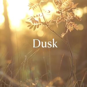 Dusk