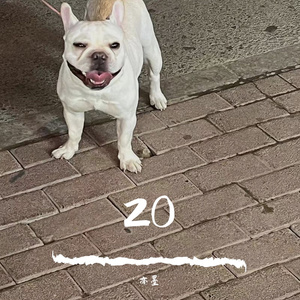 20（Prod. By Yni）