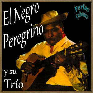 Por Ti Aprendí a Querer (Bolero)