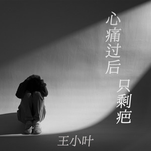 心痛过后只剩疤 (低吟版)