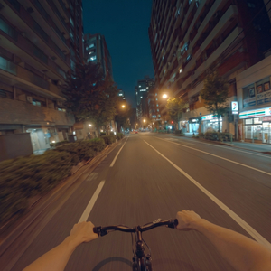 봄바람