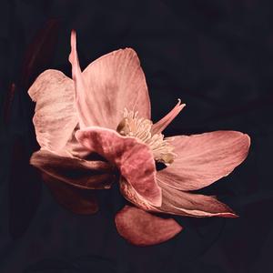 World Won't Wait (feat. Dale Dawson)