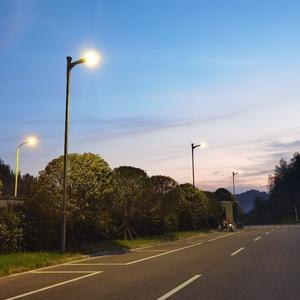 大洋芋 (DJ小蒋版)