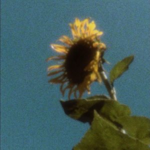 《花期》
